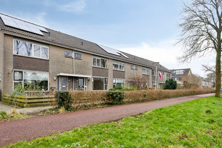Bekijk foto van Fluitekruid 2