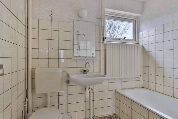 Foto 4 van Fluitekruid 2