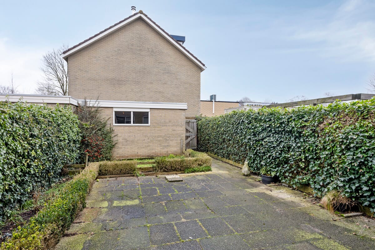 Photo 6 of Fluitekruid 2