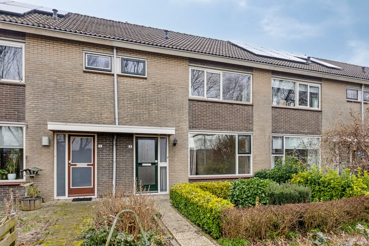 Foto 7 van Fluitekruid 2