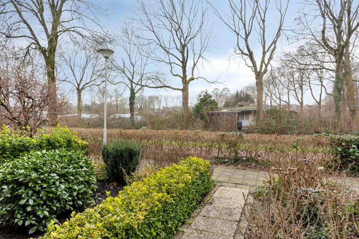 Foto 9 van Fluitekruid 2