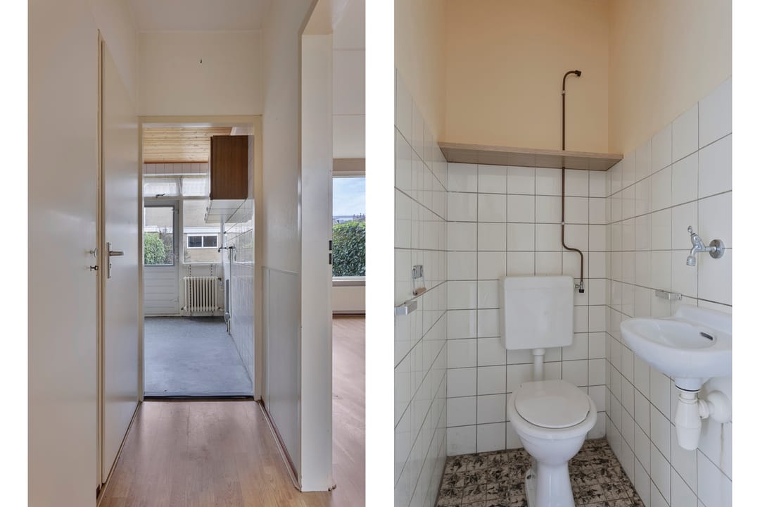 Photo 11 of Fluitekruid 2