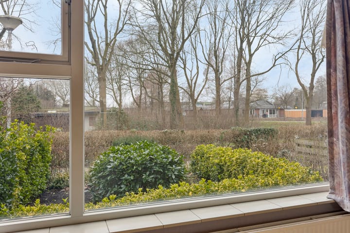 Foto 13 van Fluitekruid 2