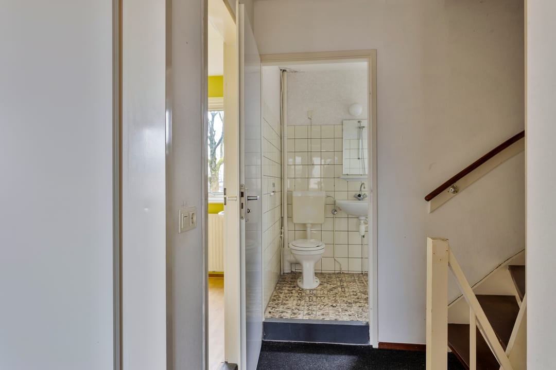 Photo 17 of Fluitekruid 2