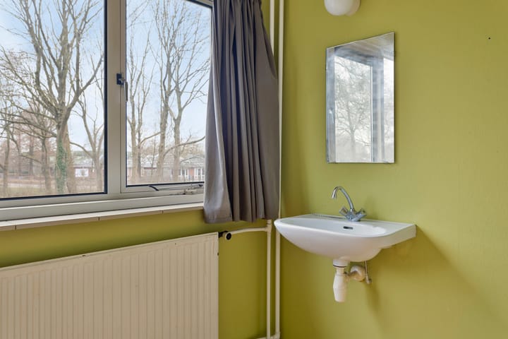 Foto 23 van Fluitekruid 2