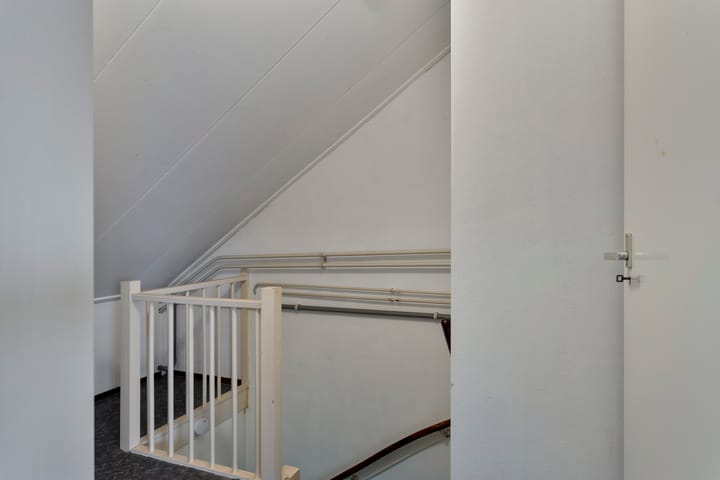 Foto 25 van Fluitekruid 2