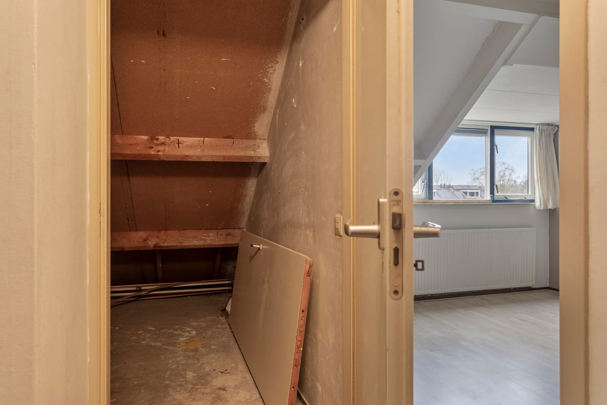 Photo 27 of Fluitekruid 2