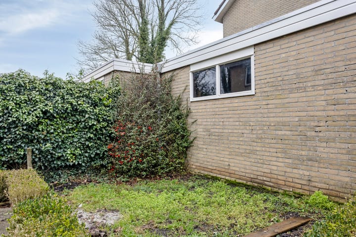 Foto 29 van Fluitekruid 2