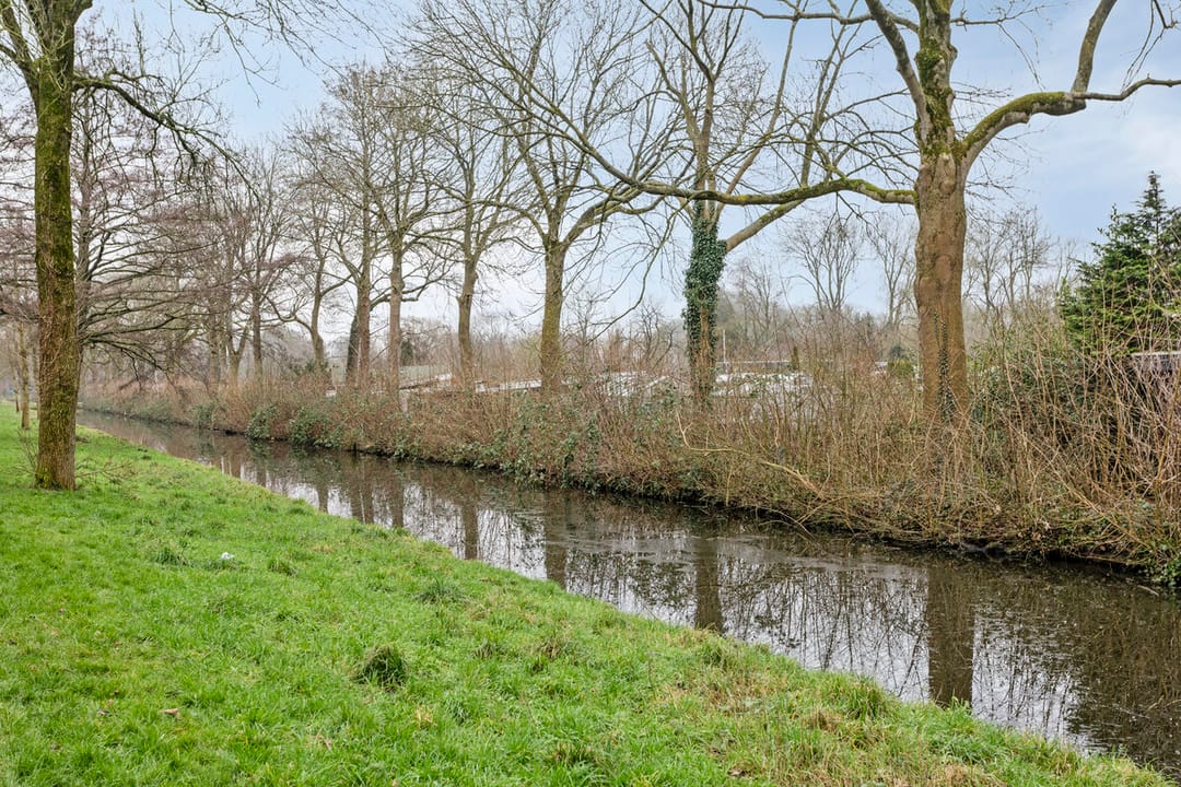 Photo 31 of Fluitekruid 2