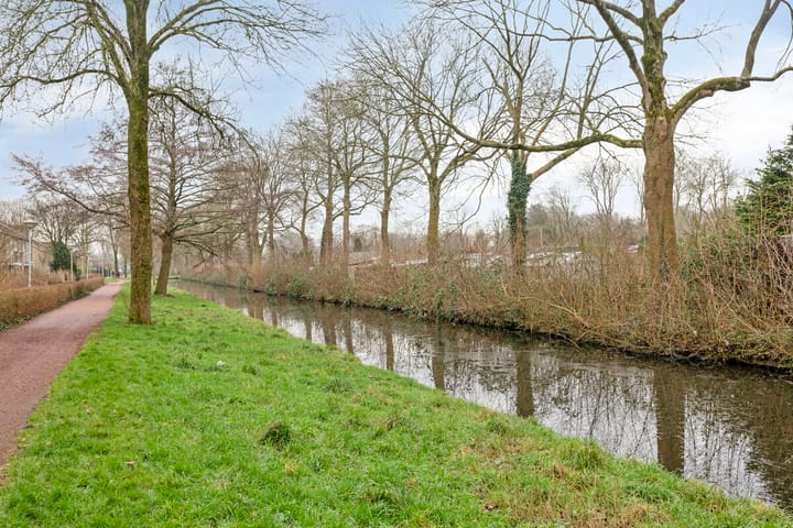 Foto 32 van Fluitekruid 2