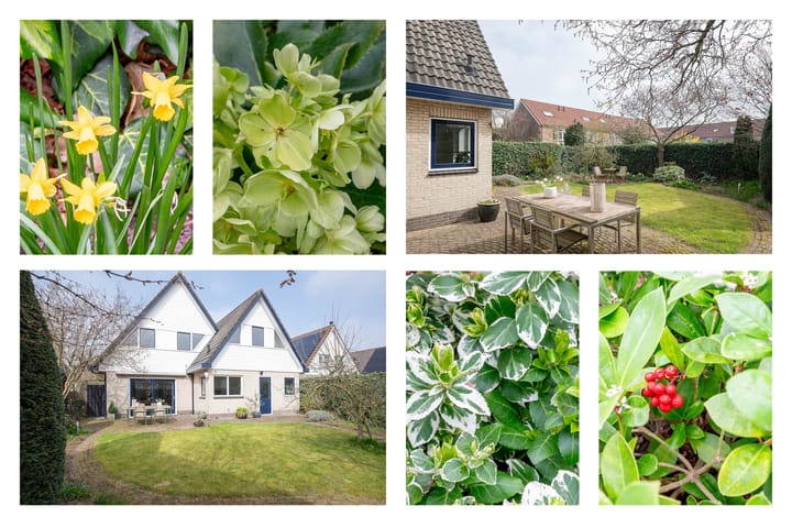 Foto 51 van Hofgeesterweg 27