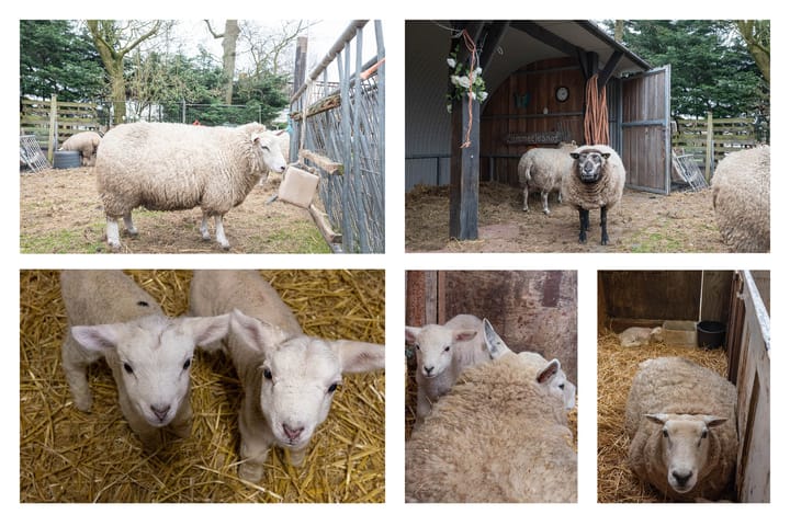 Foto 60 van Hofgeesterweg 27