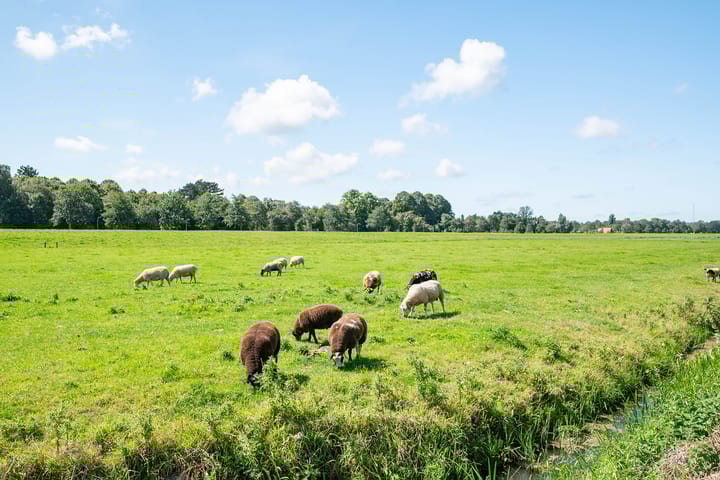 Foto 72 van Hofgeesterweg 27