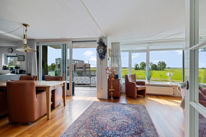 Foto 3 van Apollovlinder 60