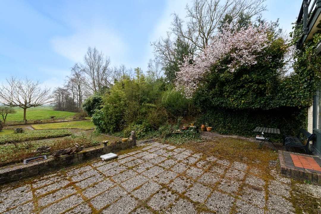 Foto 56 van Trijehoek 5