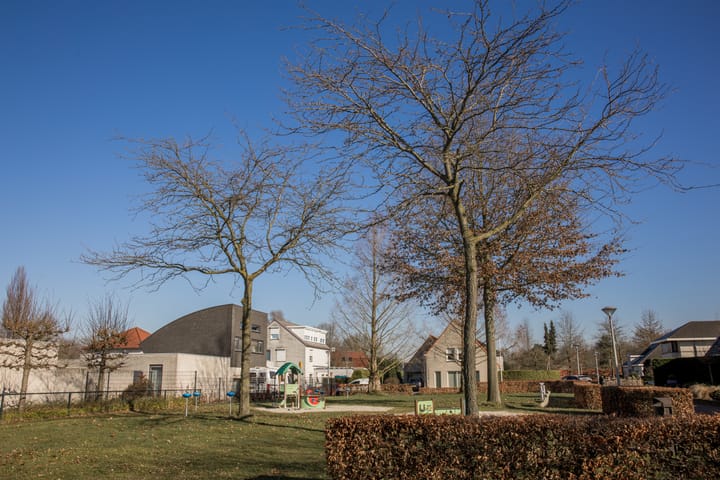 Foto 35 van 't Schiltjen 32