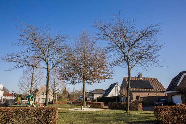 Foto 37 van 't Schiltjen 32