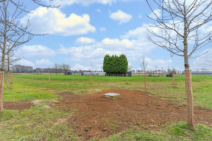 Foto 31 van Amalialaan 16