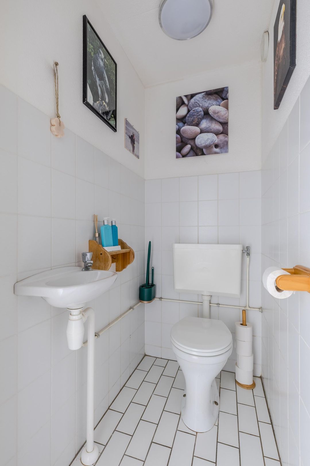 Foto 26 van Rietmeent 270