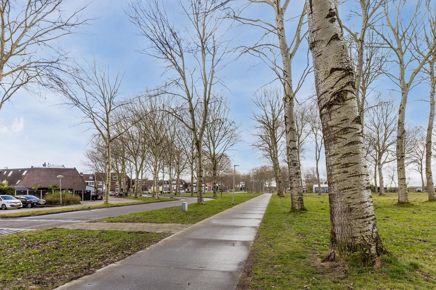 Foto 49 van Rietmeent 270