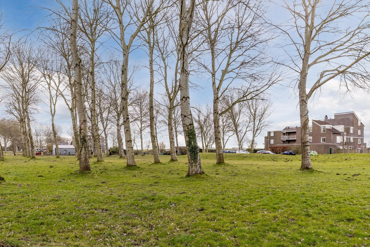 Foto 50 van Rietmeent 270