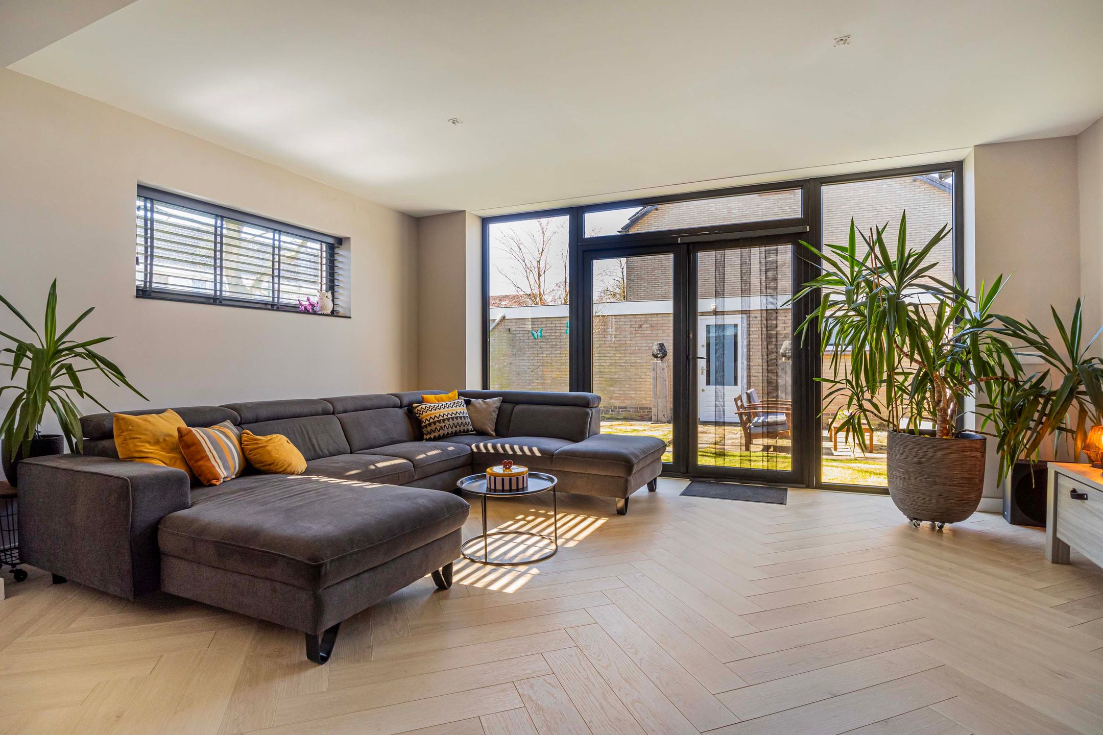 Foto 6 van Pollux 57