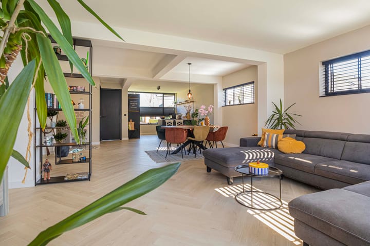 Foto 9 van Pollux 57