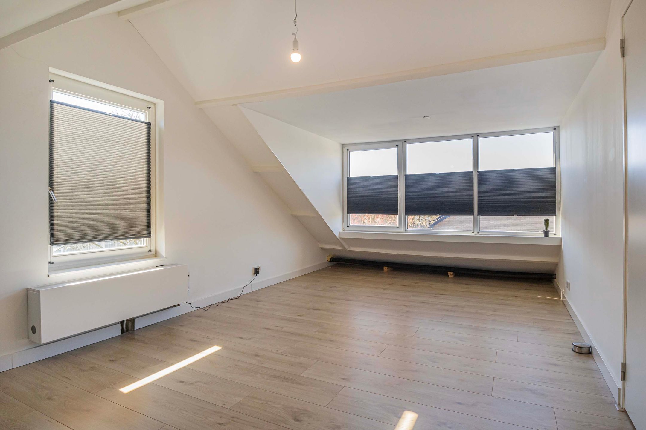 Foto 30 van Pollux 57