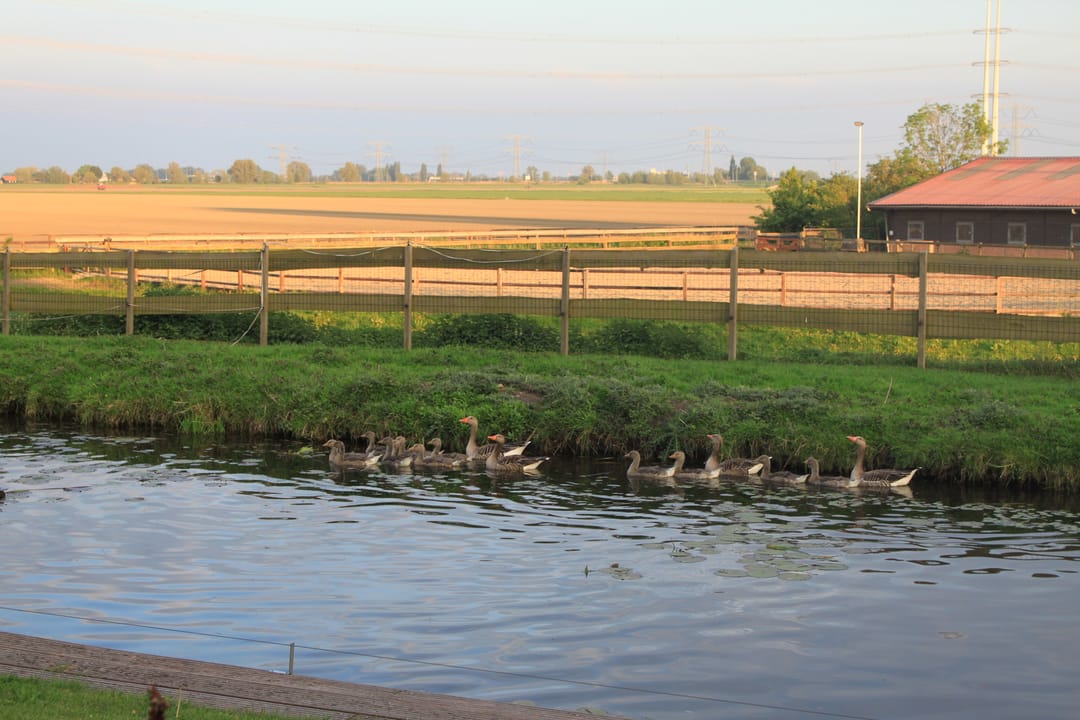 Foto 46 van Voorlaan 5