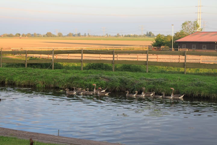 Foto 46 van Voorlaan 5