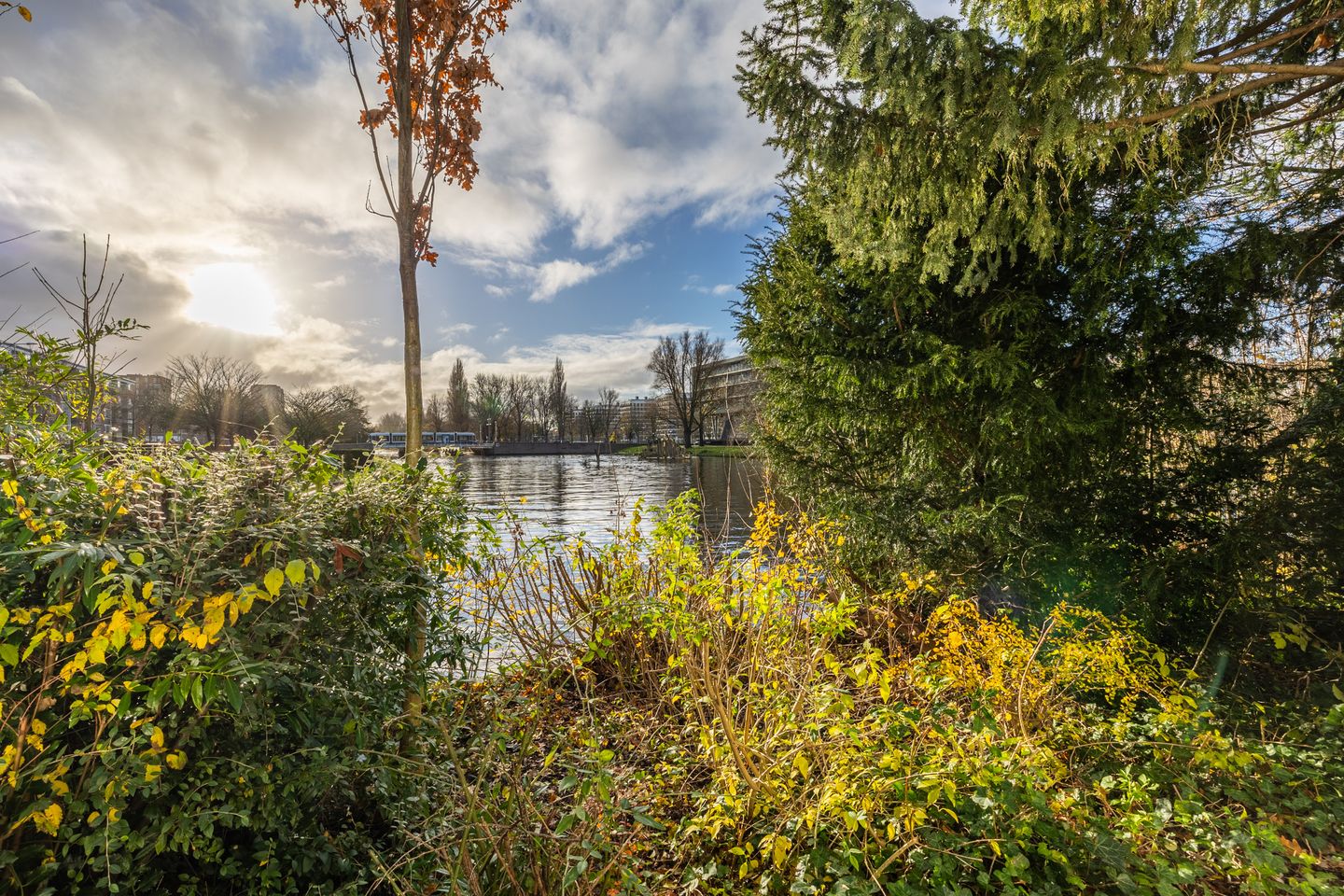 Foto 5 van Hoekenes 26