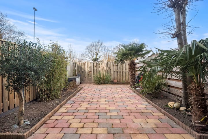 Foto 17 van Kruiszwin 3719