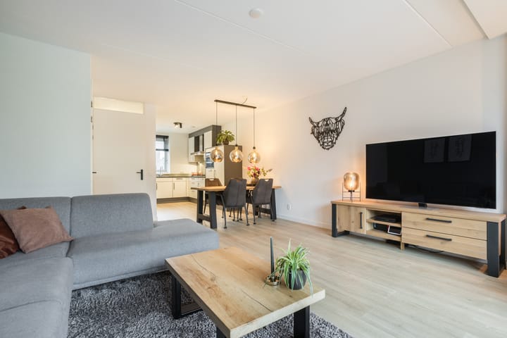 Foto 5 van Citroenvlinder 47