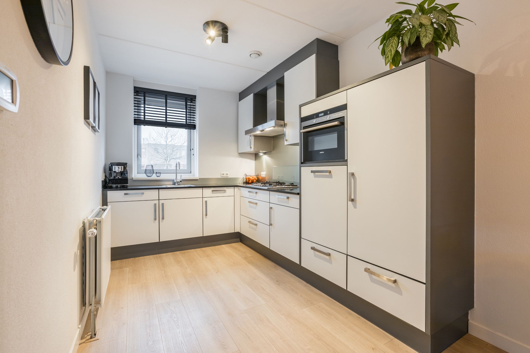 Foto 9 van Citroenvlinder 47