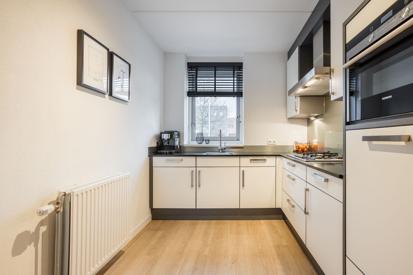 Foto 10 van Citroenvlinder 47