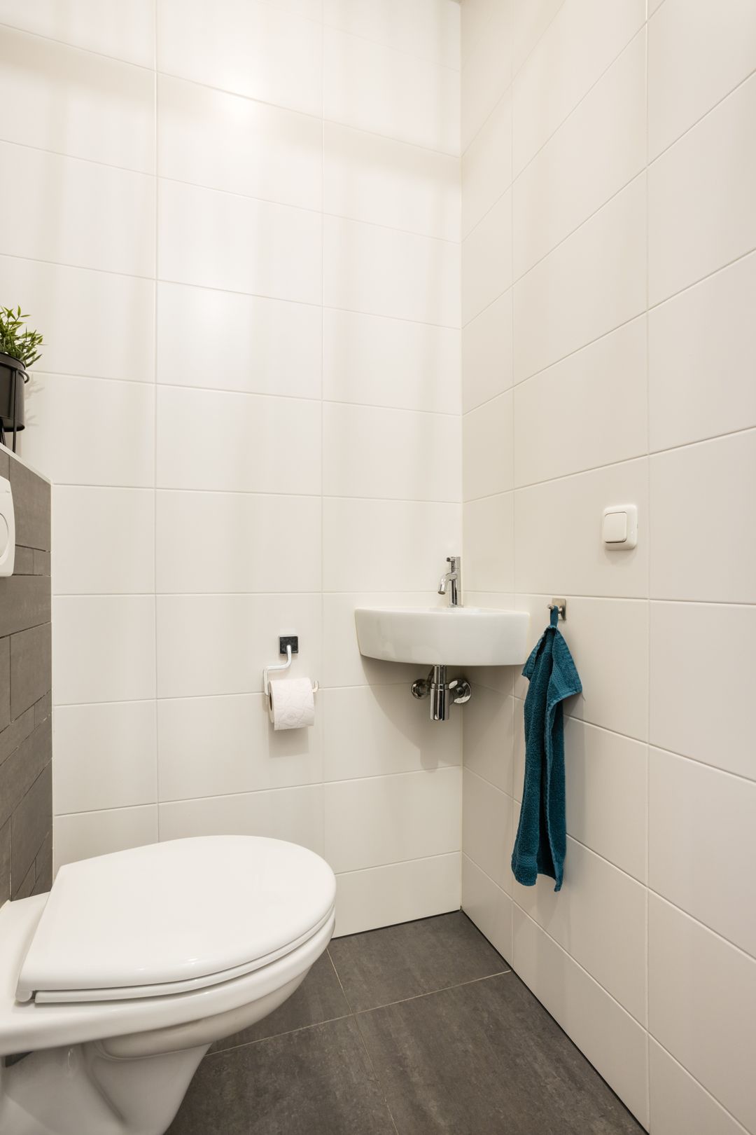 Foto 17 van Citroenvlinder 47