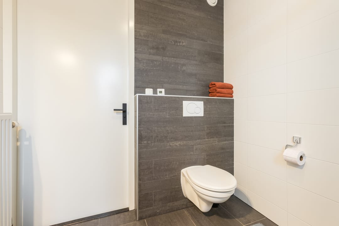 Foto 26 van Citroenvlinder 47