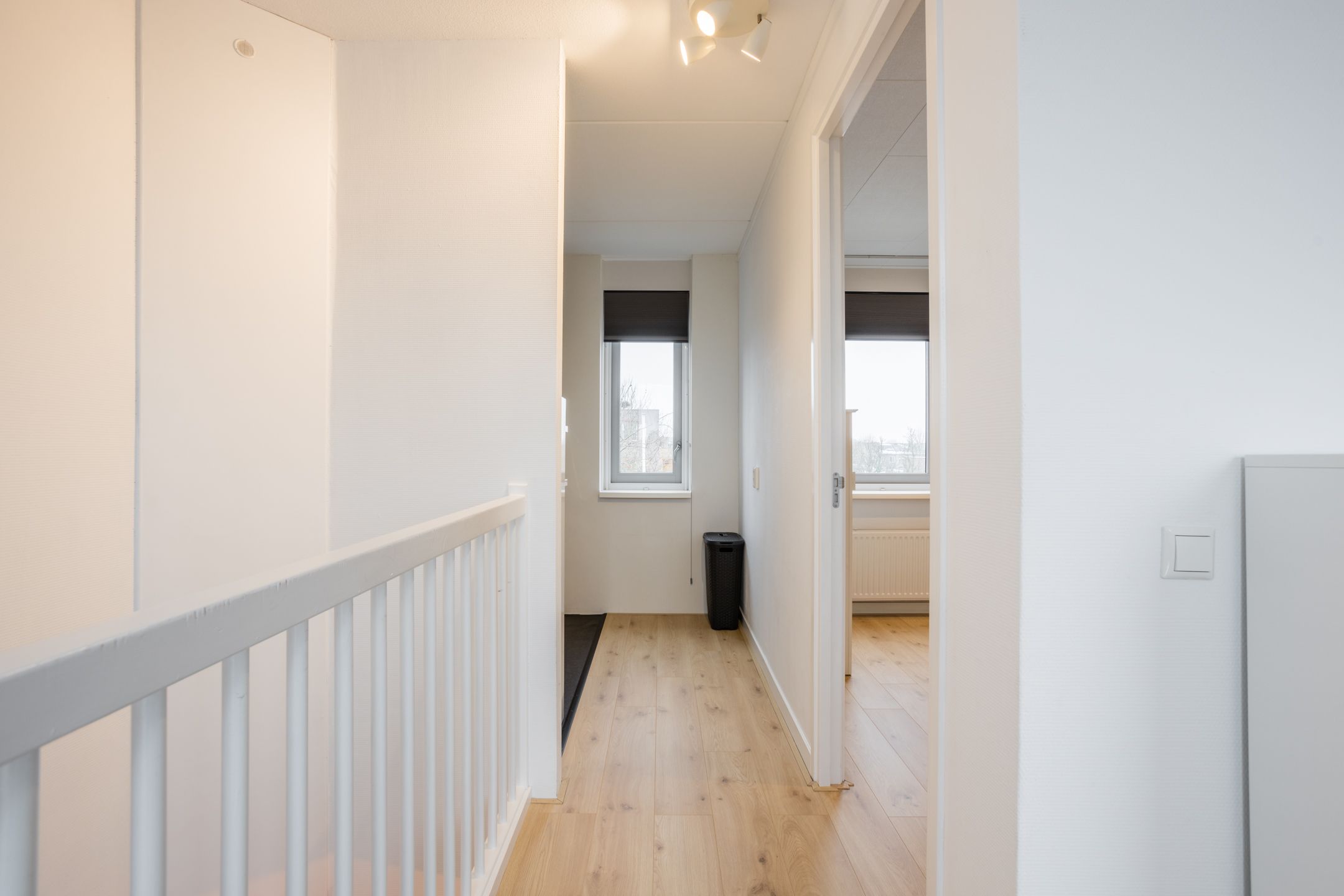 Foto 33 van Citroenvlinder 47