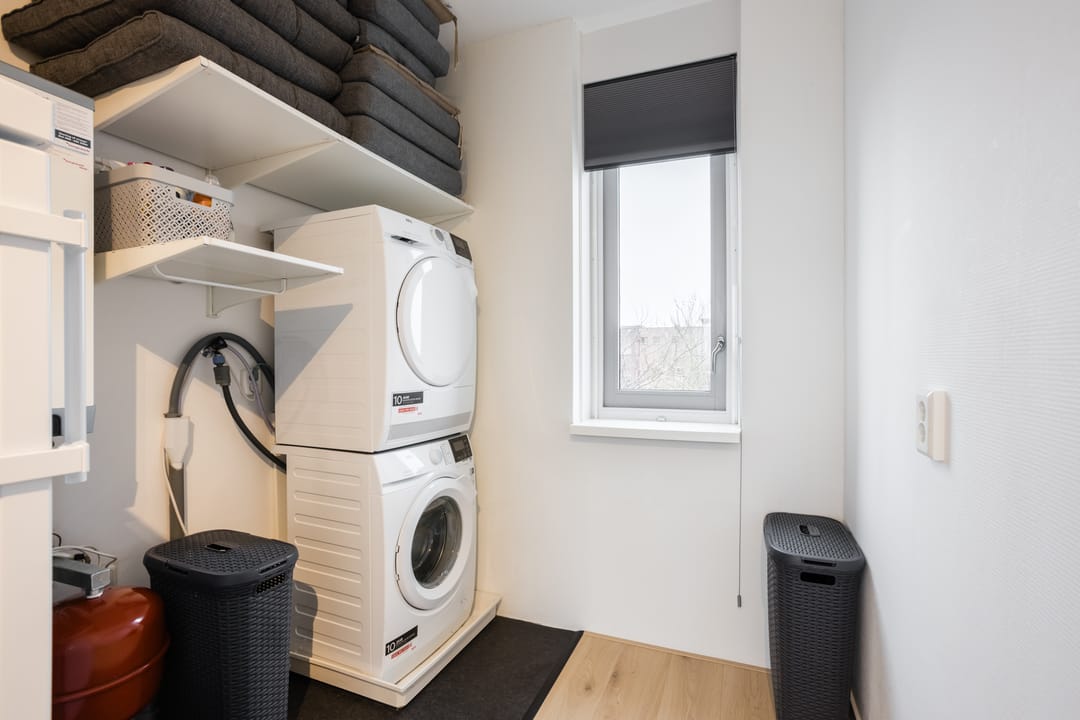 Foto 38 van Citroenvlinder 47