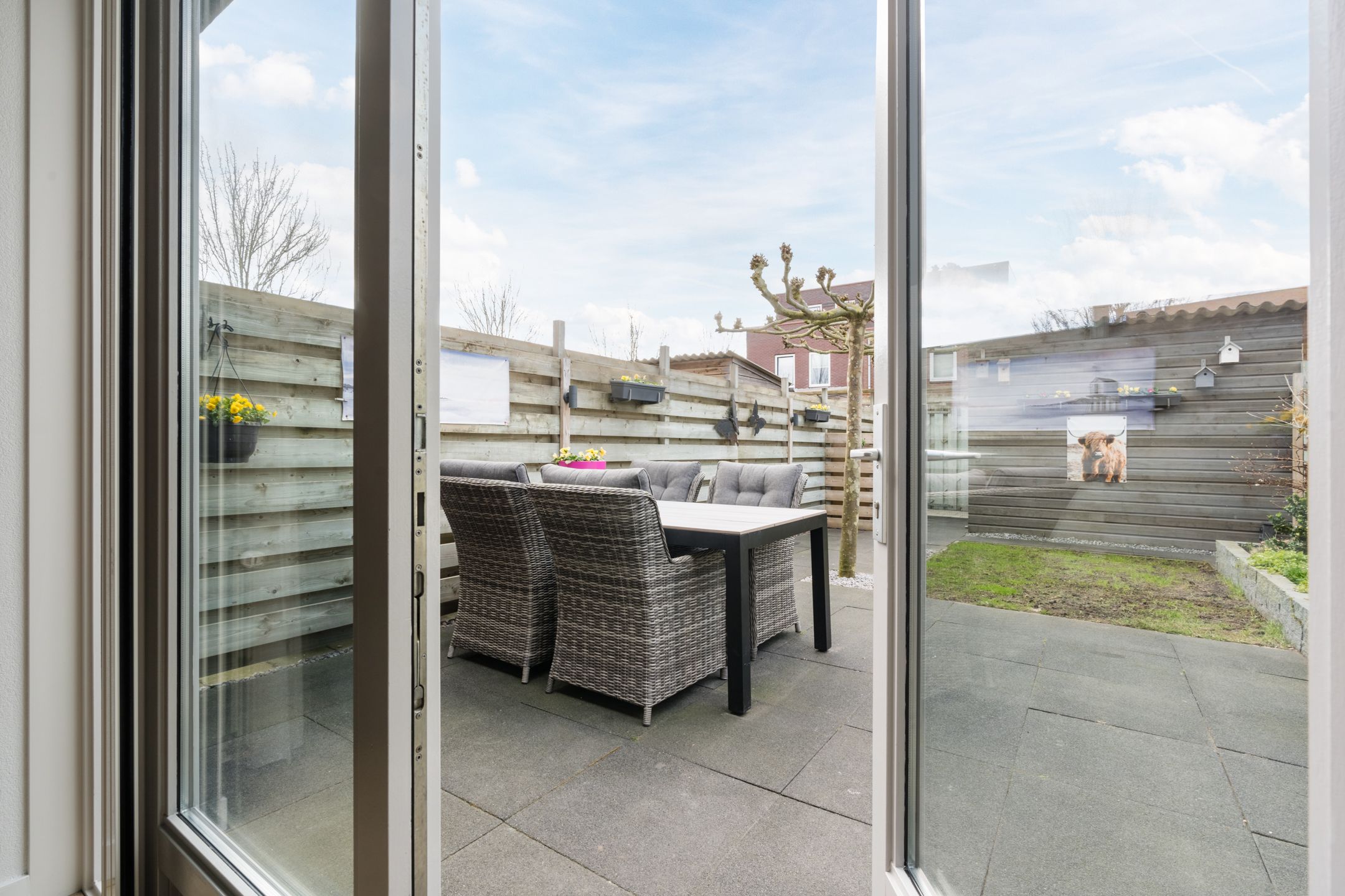 Foto 39 van Citroenvlinder 47