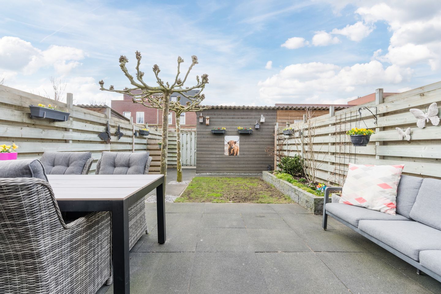 Foto 40 van Citroenvlinder 47