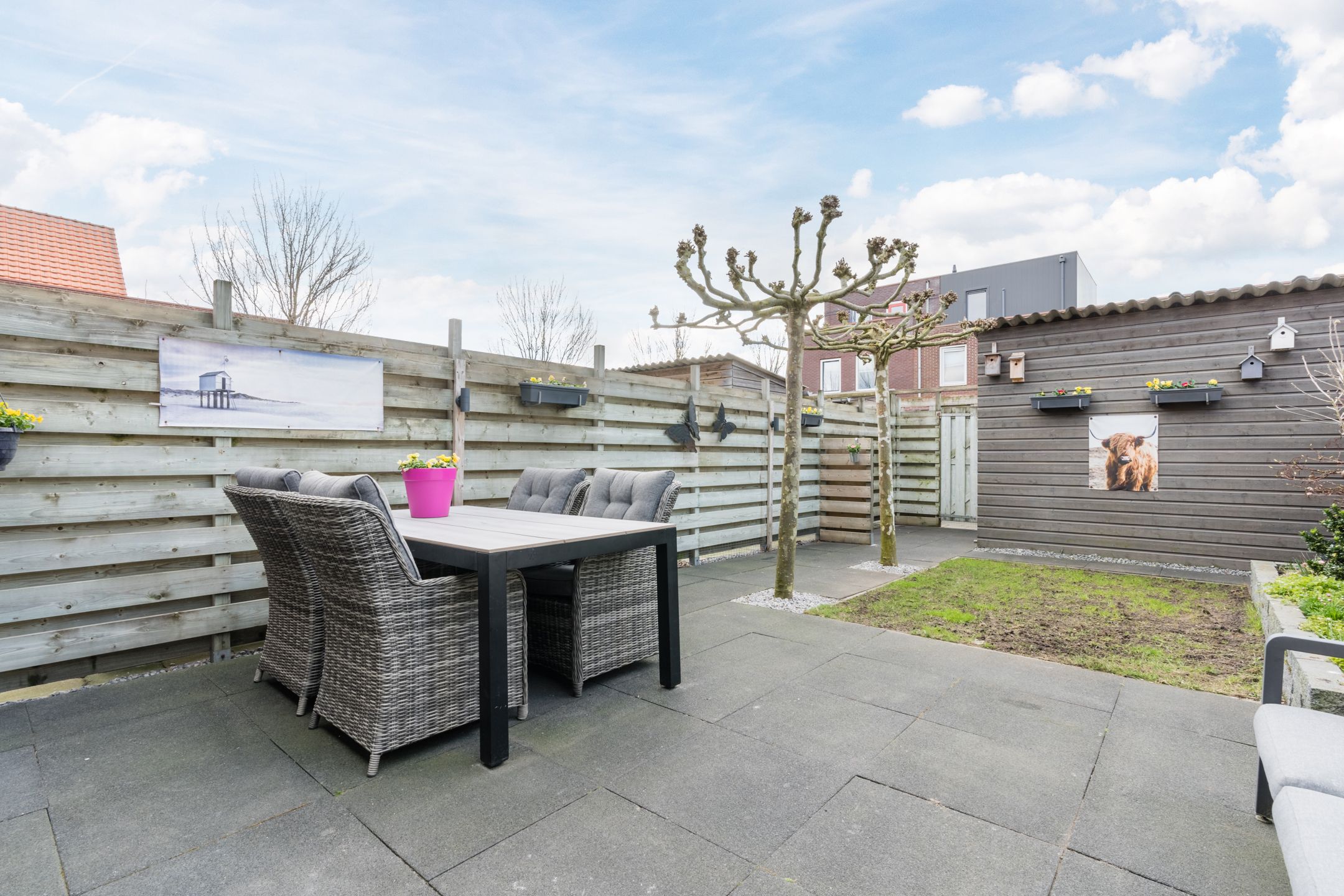 Foto 42 van Citroenvlinder 47