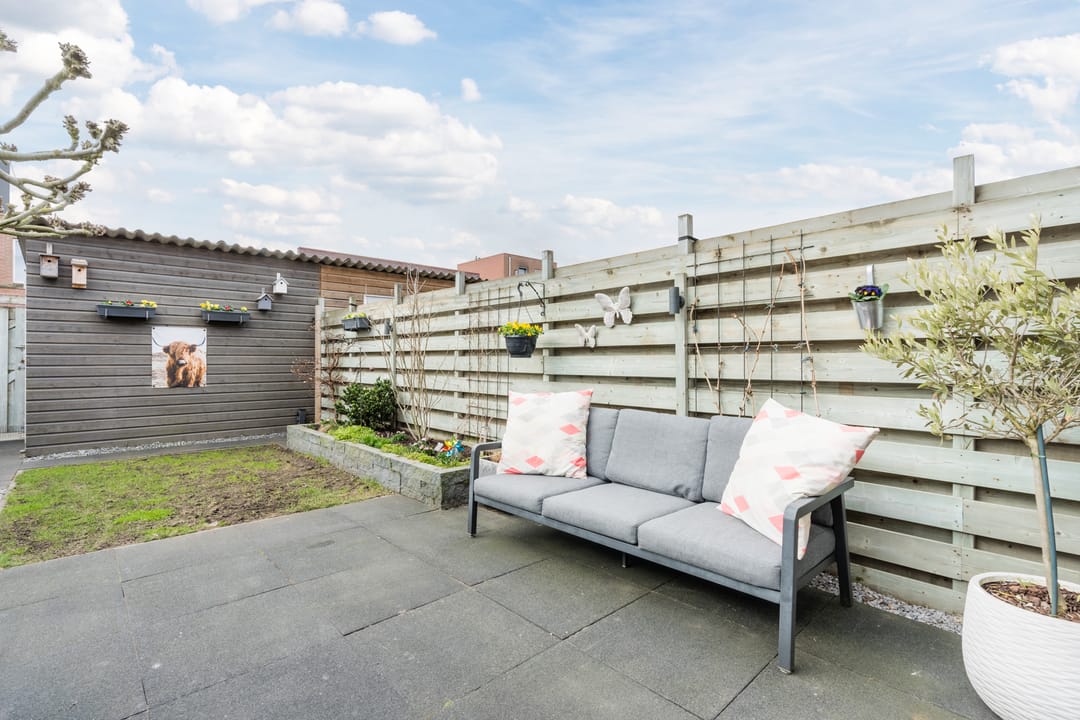 Foto 43 van Citroenvlinder 47