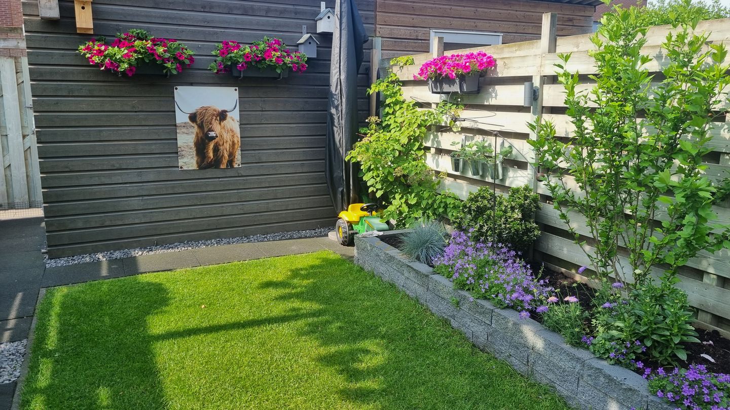 Foto 44 van Citroenvlinder 47