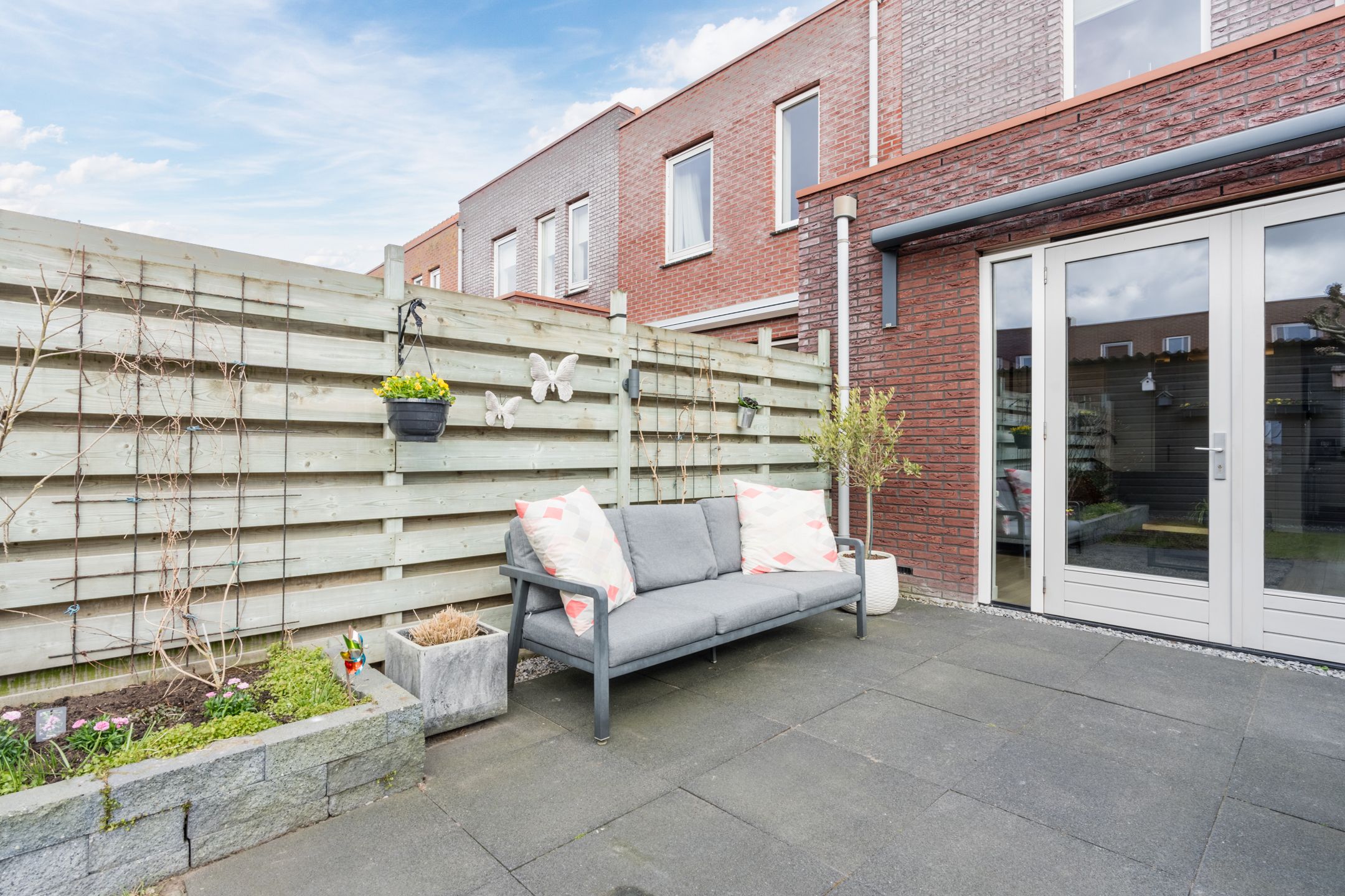 Foto 45 van Citroenvlinder 47