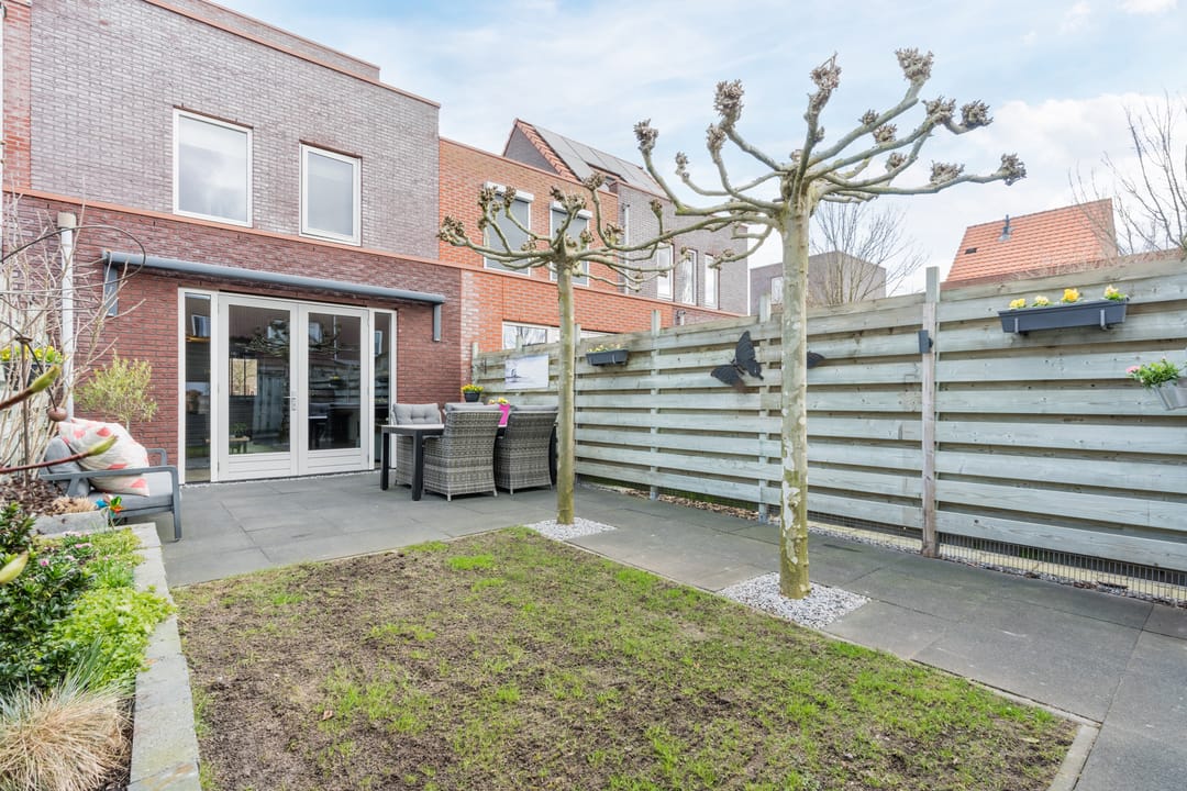 Foto 46 van Citroenvlinder 47