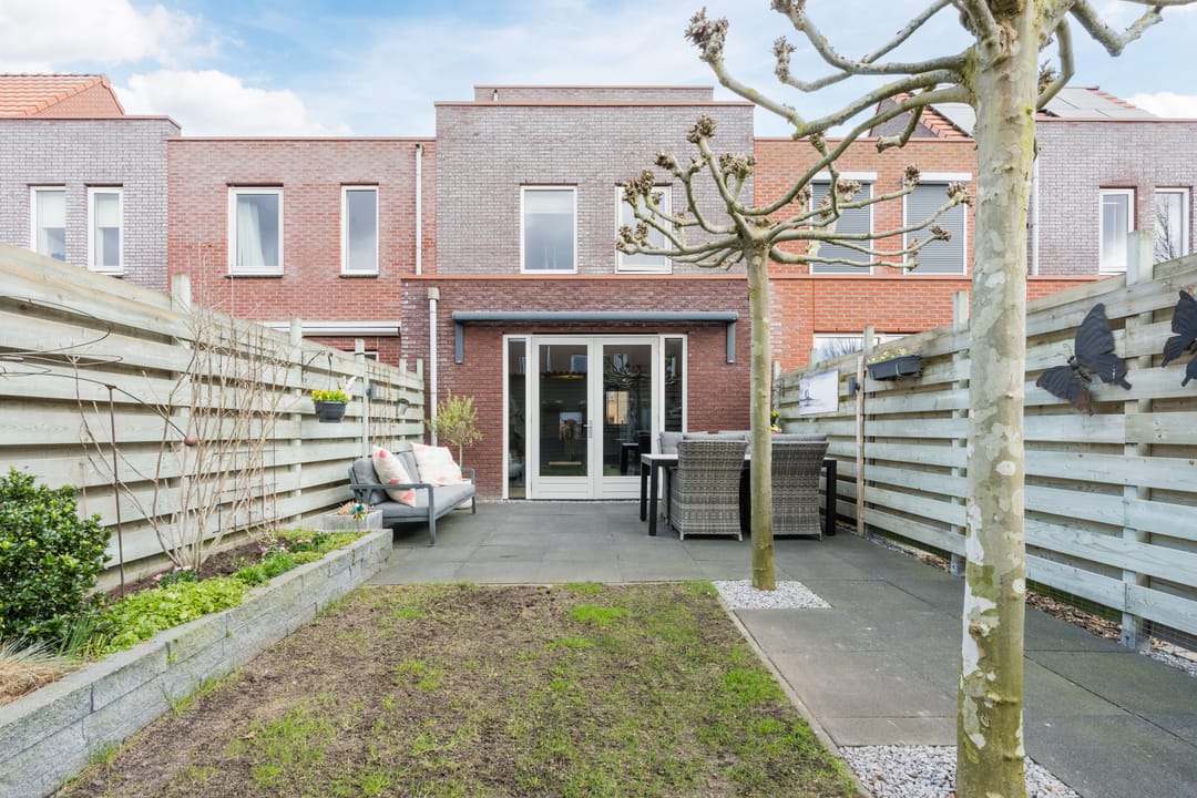 Foto 47 van Citroenvlinder 47