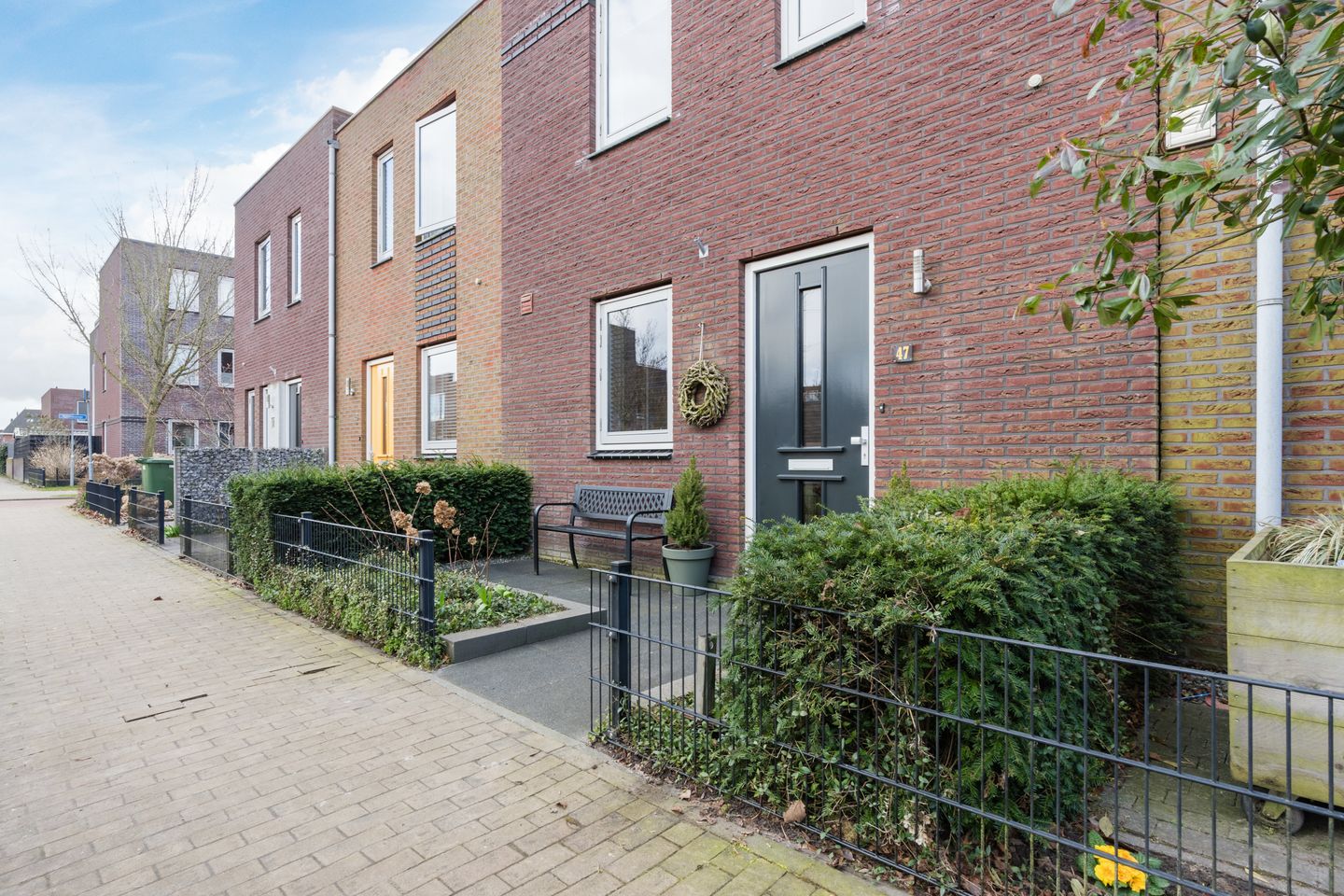 Foto 49 van Citroenvlinder 47