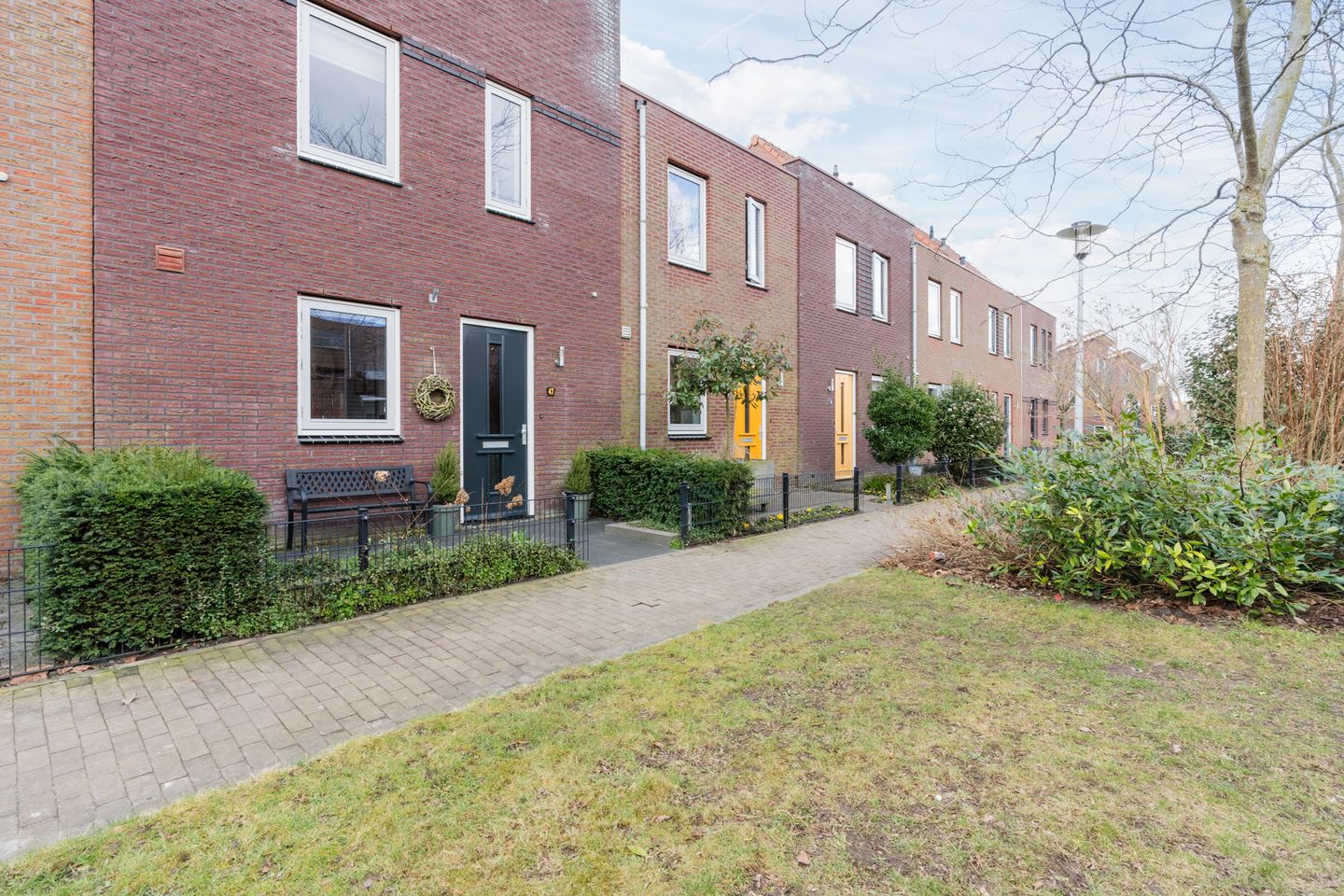 Foto 50 van Citroenvlinder 47