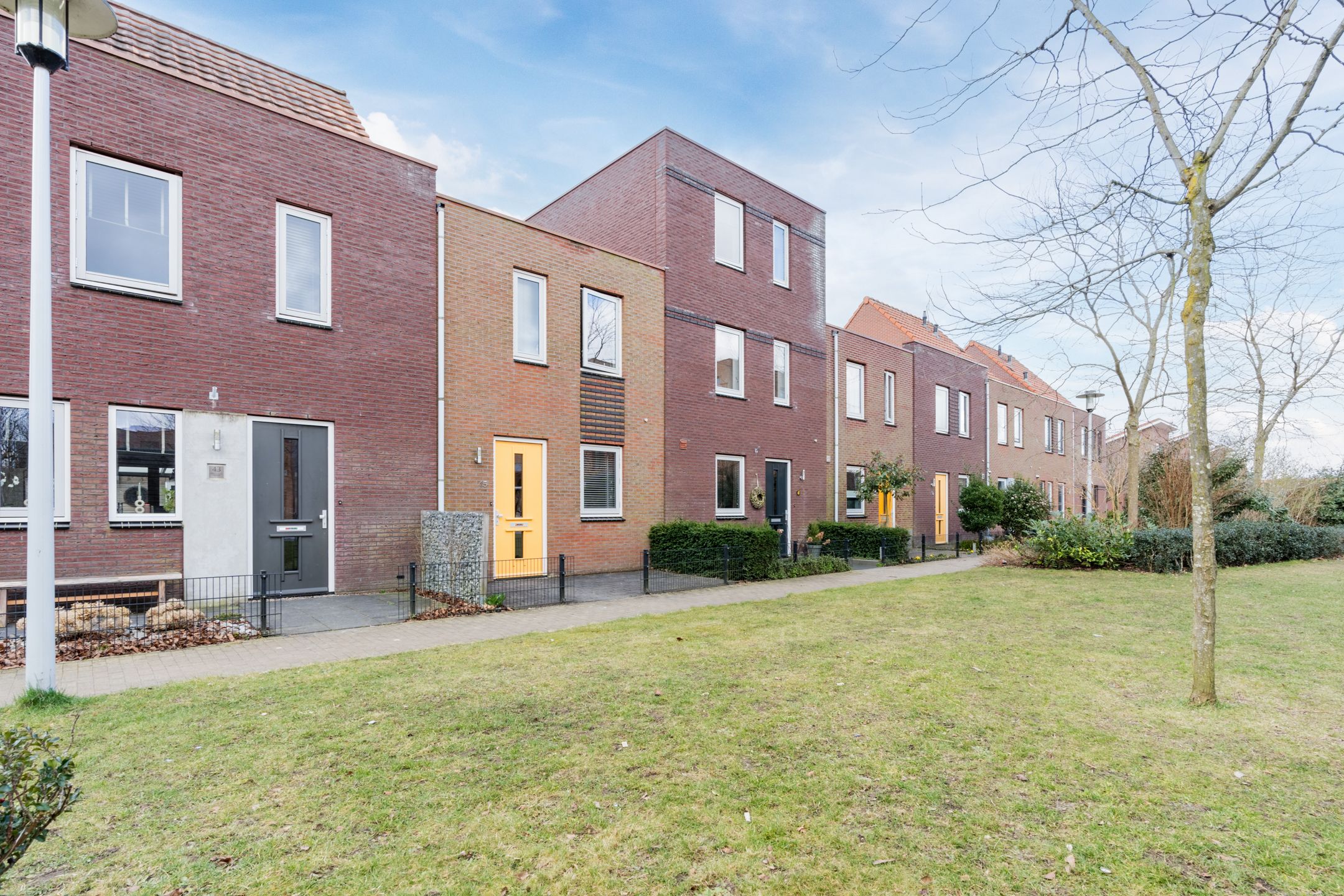 Foto 51 van Citroenvlinder 47